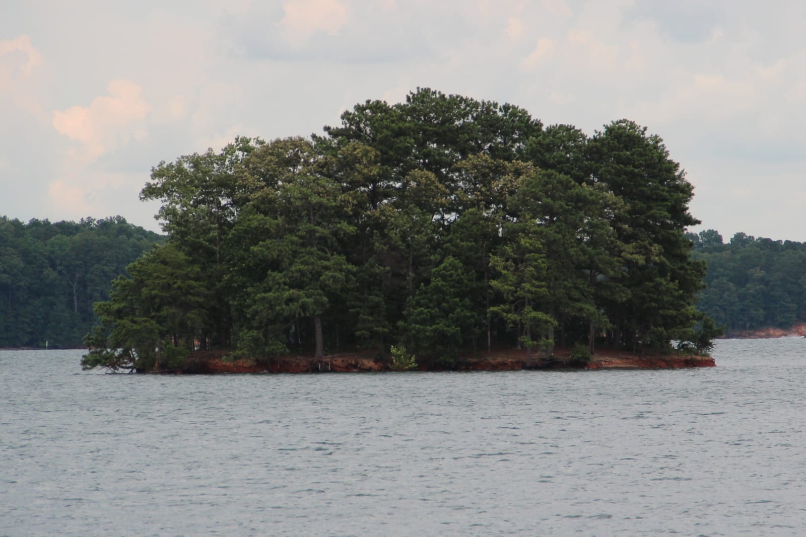 A small pine-covered island in Lake Lanier ringed by a band of red clay just above the water